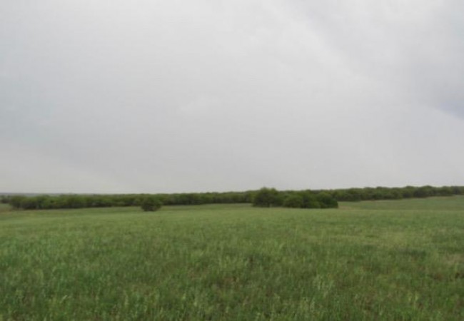 VENTA - Campo 729 has Winifreda - La Pampa