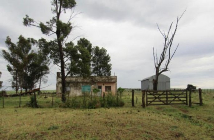 VENTA - Campo 729 has Winifreda - La Pampa