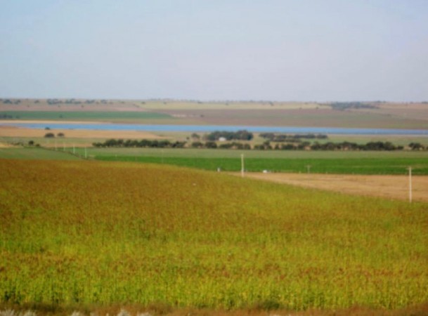 VENTA - Campo 729 has Winifreda - La Pampa