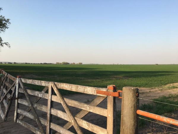 VENTA - Campo 178 Has - Dpto Capital - La Pampa 