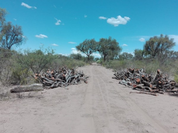 Venta Campo Ganadero - 4222 has. La Rioja - San Martin