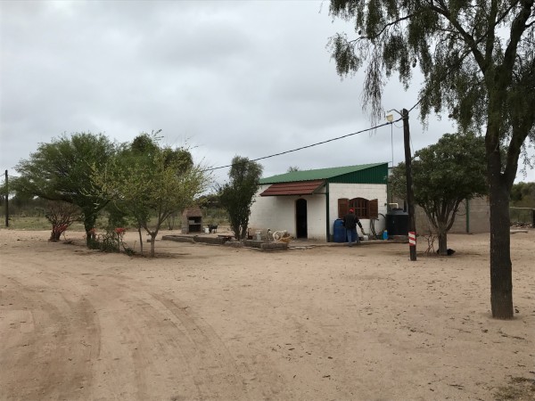 Venta Campo Ganadero - 4222 has. La Rioja - San Martin