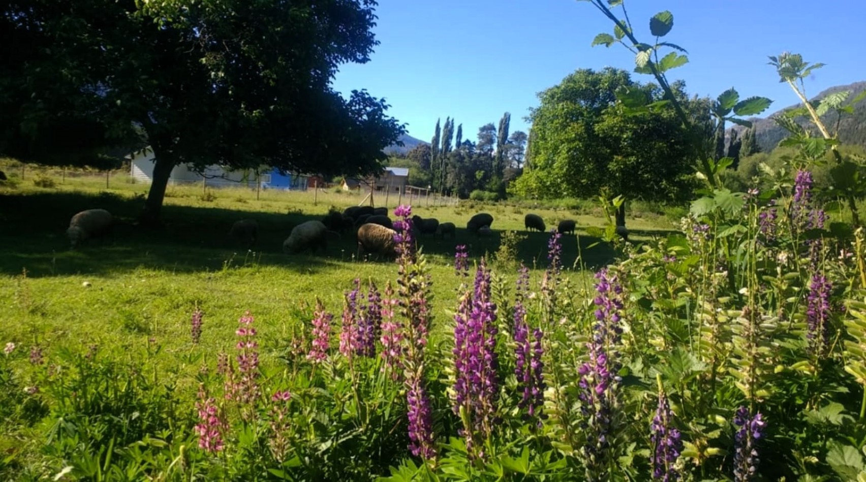 LOTEO KALFUCO - VILLA DEL LAGO - CHUBUT - OPORTUNIDAD