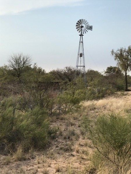 Venta Campo Ganadero - 4222 has. La Rioja - San Martin