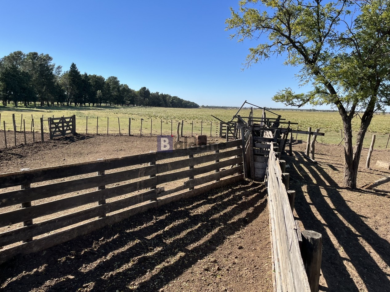 EN VENTA CAMPO 600 HAS - DPTO CAPITAL LA PAMPA