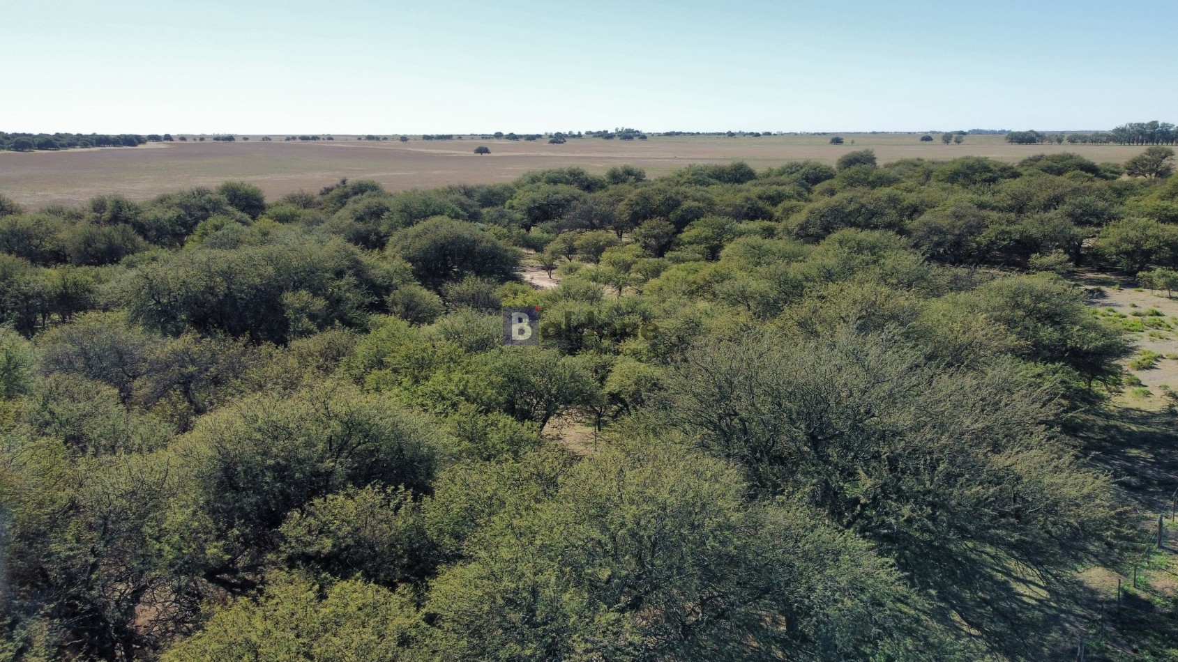 EN VENTA CAMPO 600 HAS - DPTO CAPITAL LA PAMPA