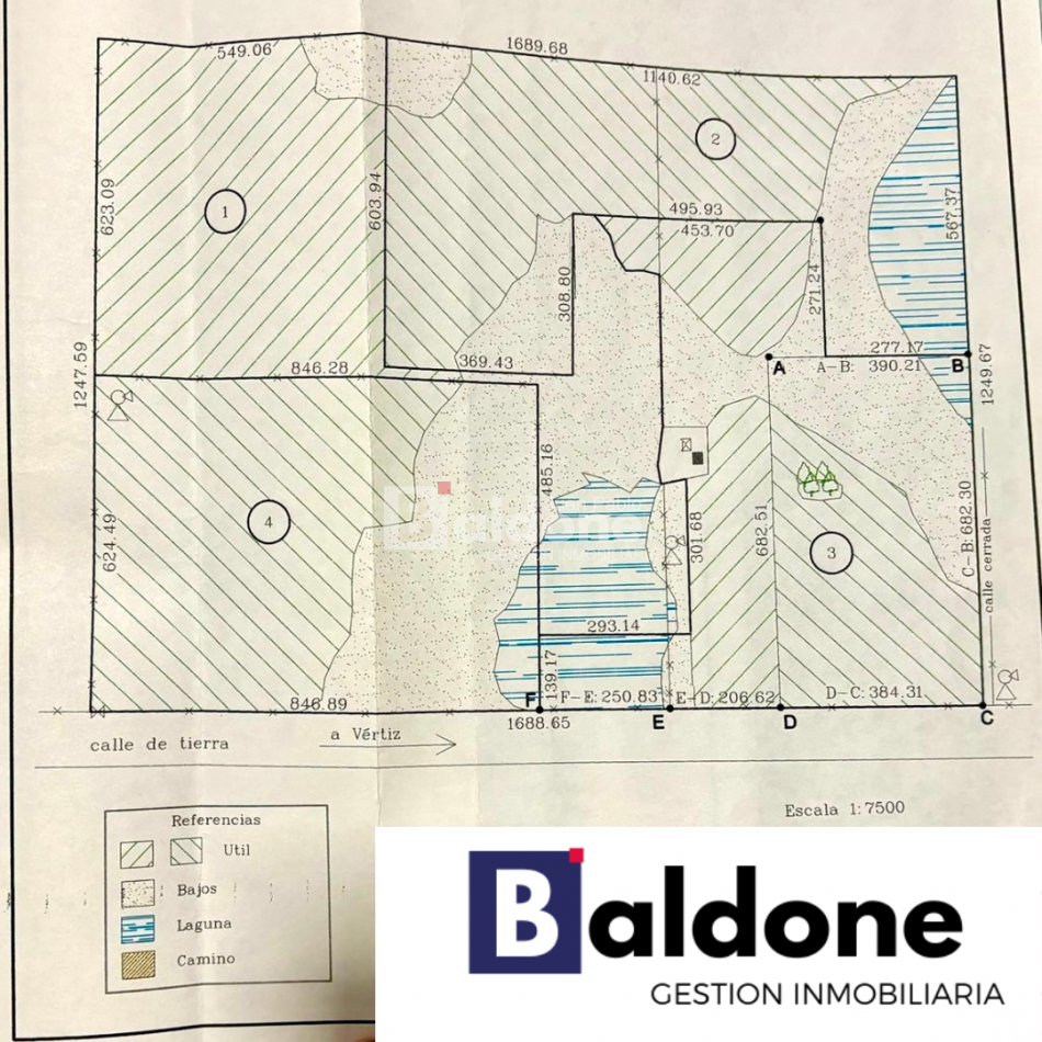 EN VENTA CAMPO 200 HECAREAS - DEPARTAMENTO REALICO - LA PAMPA