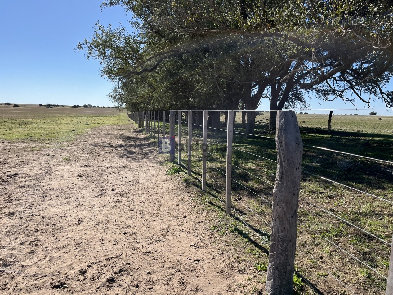 EN VENTA CAMPO 600 HAS - DPTO CAPITAL LA PAMPA