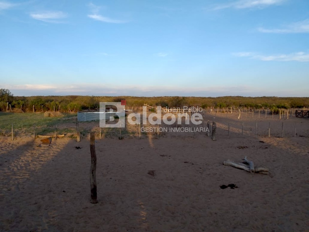 EN VENTA - CAMPO 4975 Has.- LIMAY MAHUIDA - LA PAMPA