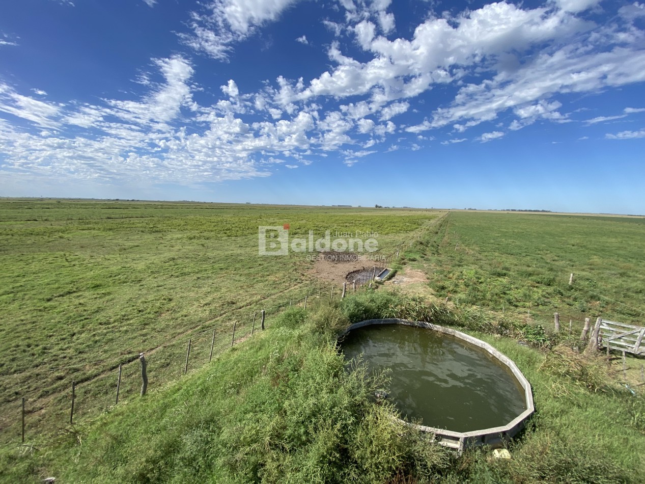 EN VENTA CAMPO 200 HECAREAS - DEPARTAMENTO REALICO - LA PAMPA