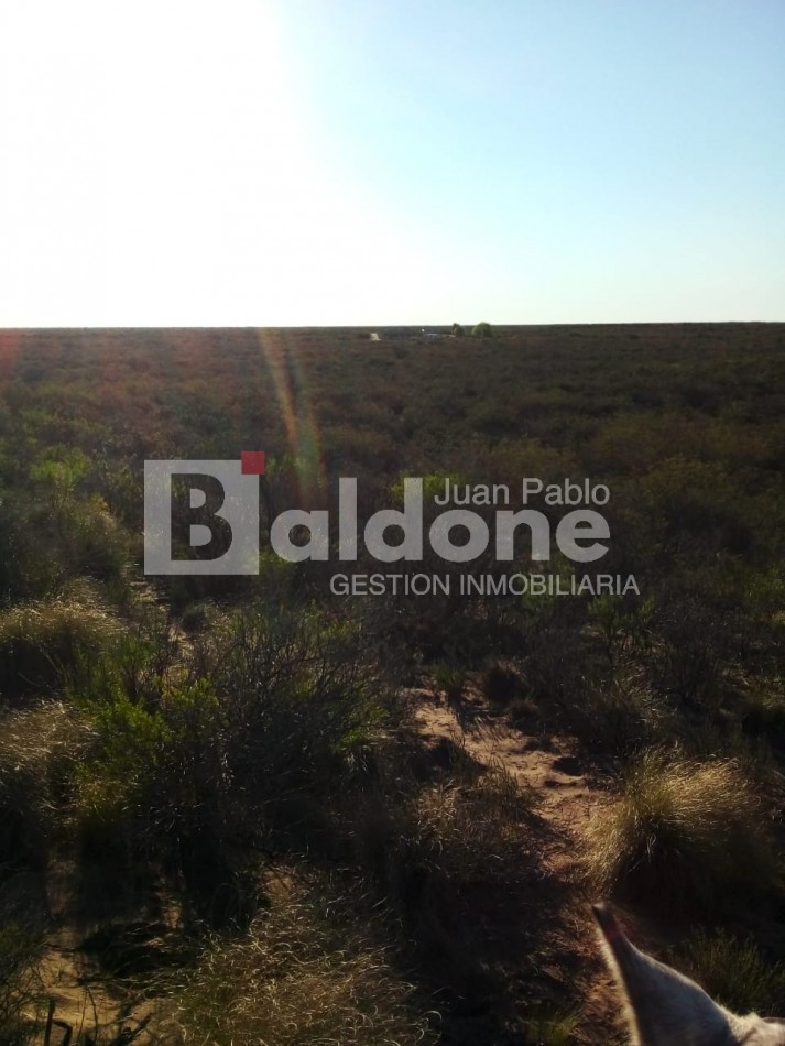 EN VENTA - CAMPO 4975 Has.- LIMAY MAHUIDA - LA PAMPA