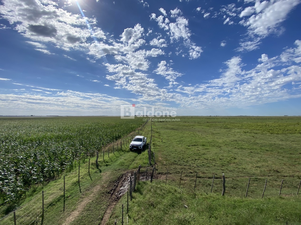 EN VENTA CAMPO 200 HECAREAS - DEPARTAMENTO REALICO - LA PAMPA
