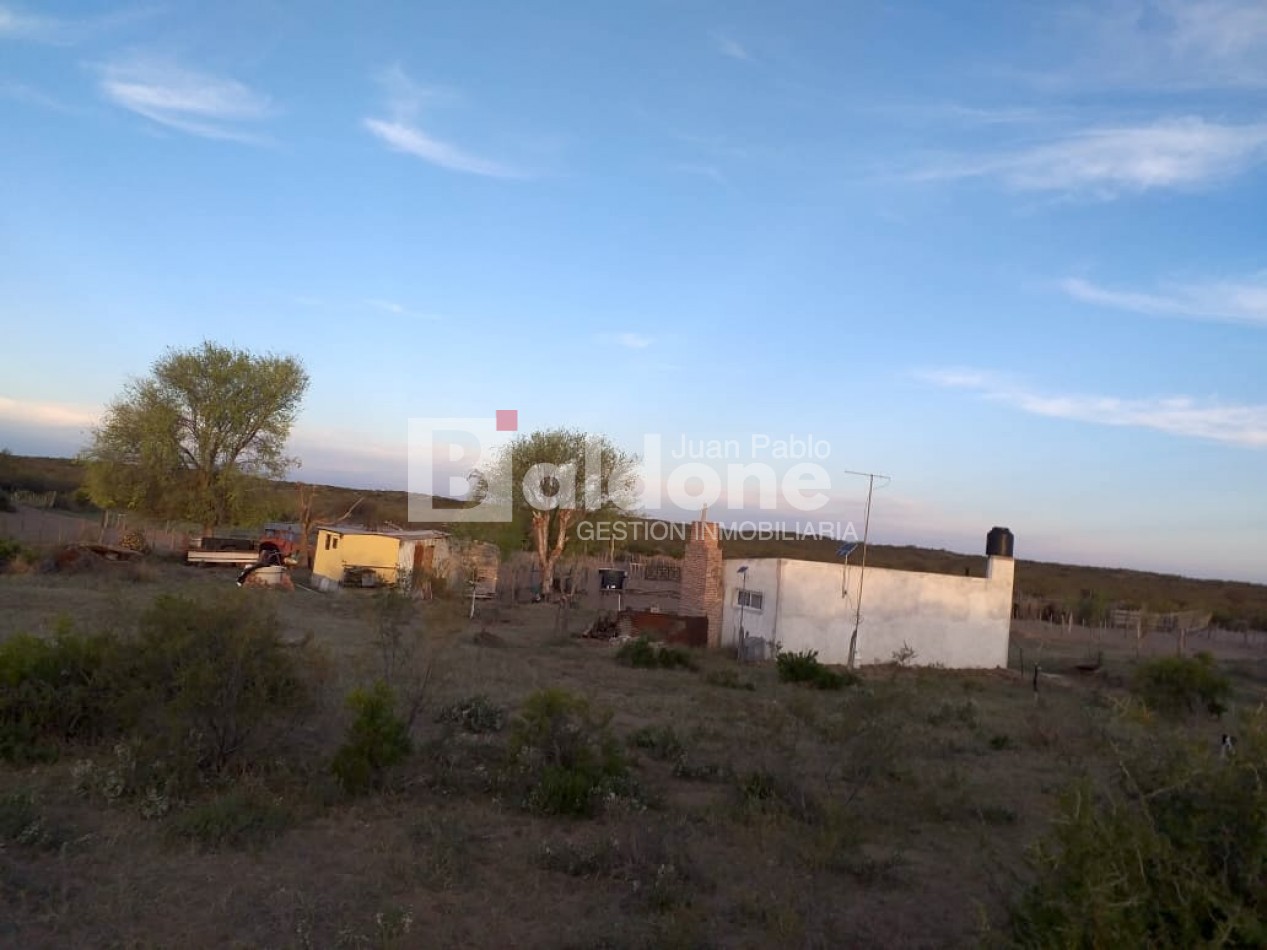 EN VENTA - CAMPO 4975 Has.- LIMAY MAHUIDA - LA PAMPA