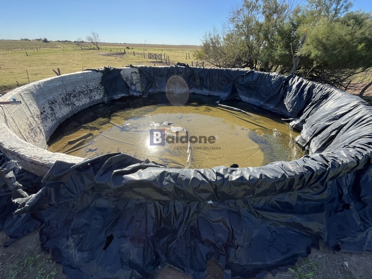 EN VENTA CAMPO 600 HAS - DPTO CAPITAL LA PAMPA