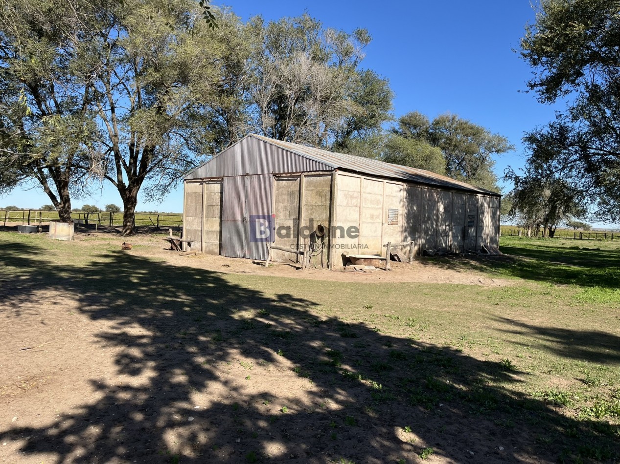 EN VENTA CAMPO 600 HAS - DPTO CAPITAL LA PAMPA