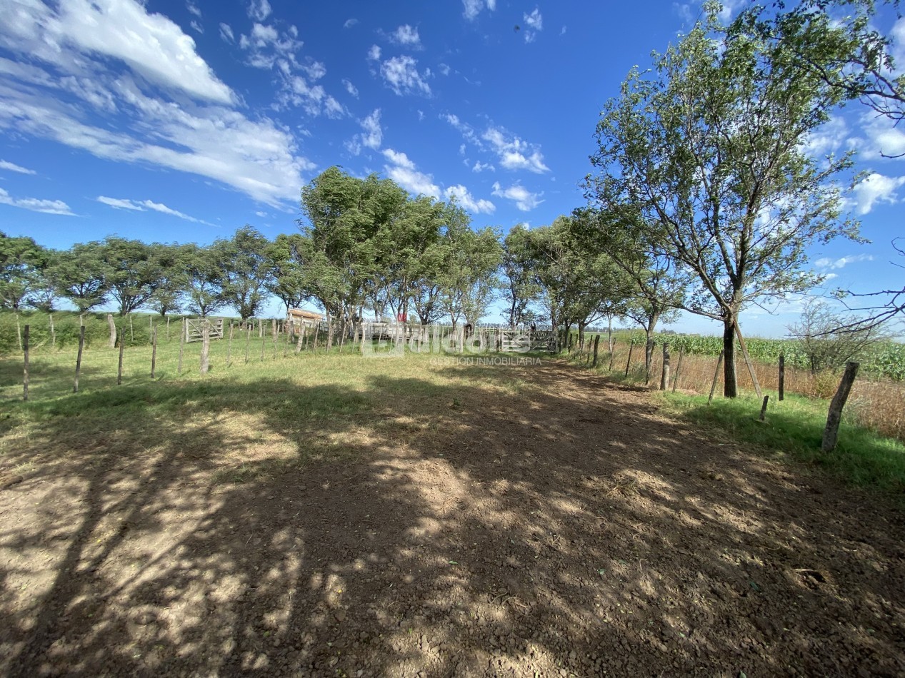 EN VENTA CAMPO 200 HECAREAS - DEPARTAMENTO REALICO - LA PAMPA