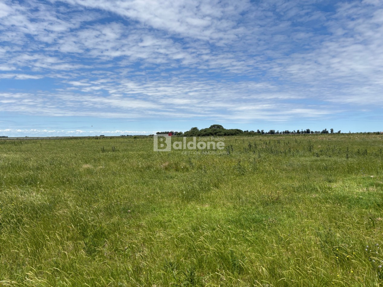 EN VENTA CAMPO 200 HECAREAS - DEPARTAMENTO REALICO - LA PAMPA