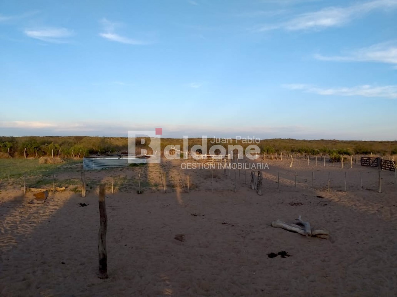 EN VENTA - CAMPO 4975 Has.- LIMAY MAHUIDA - LA PAMPA