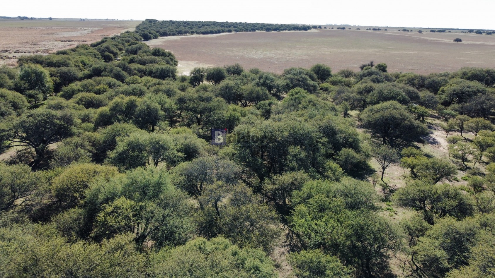 EN VENTA CAMPO 600 HAS - DPTO CAPITAL LA PAMPA