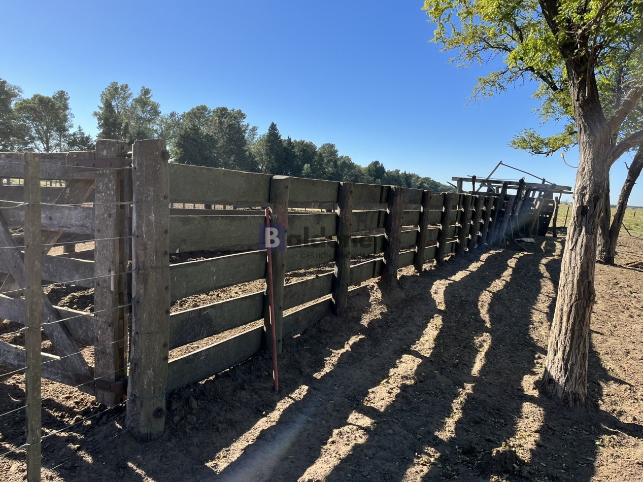 EN VENTA CAMPO 600 HAS - DPTO CAPITAL LA PAMPA