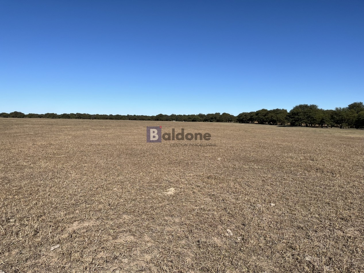 EN VENTA CAMPO 600 HAS - DPTO CAPITAL LA PAMPA