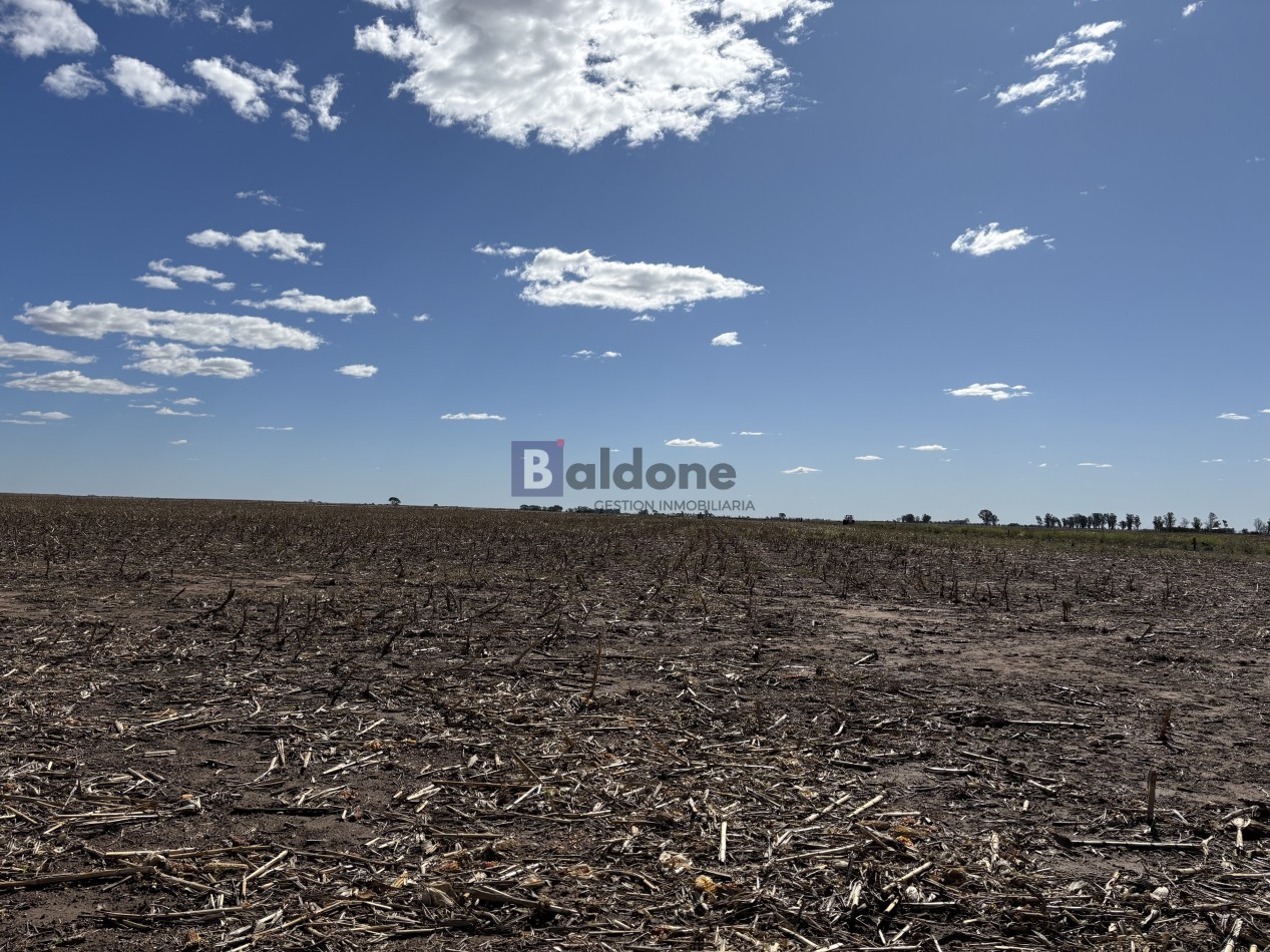 VENTA CAMPO 120 HAS - DPTO. MARACO - LA PAMPA