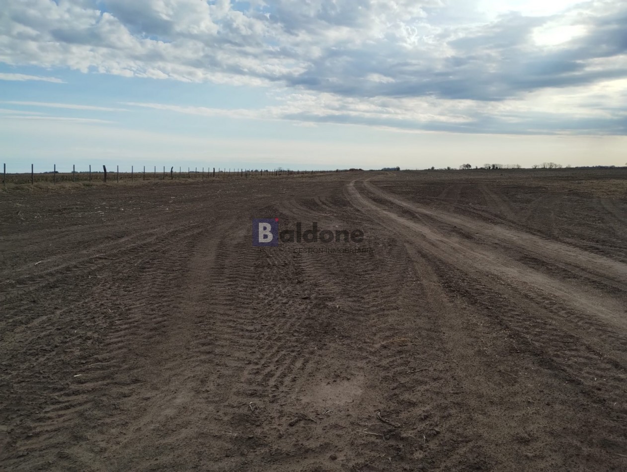 VENTA CAMPO 120 HAS - DPTO. MARACO - LA PAMPA