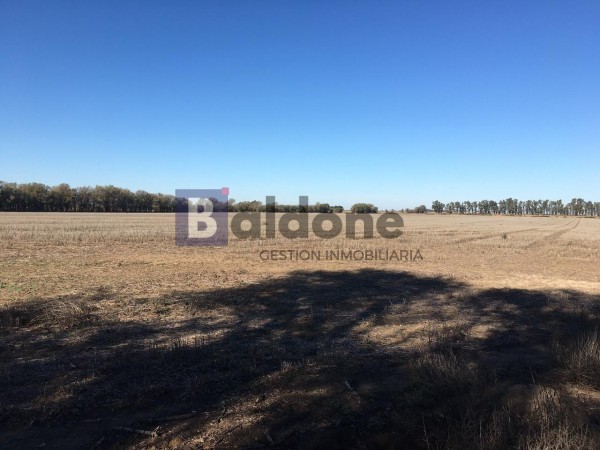 Venta - Campo 148 Has - Dpto. Conhello - La Pampa