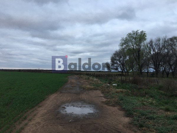 VENTA CAMPO 330 HAS - ARATA - DPTO TRENEL - LA PAMPA