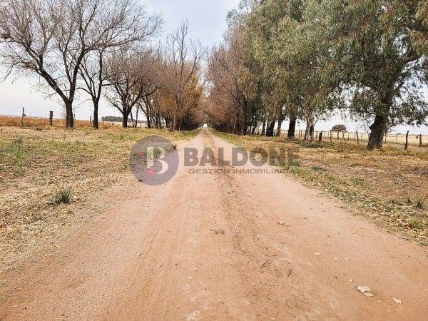 840 has - Sobre RN 35 - Sta Rosa - Dpto. Capital - La Pampa