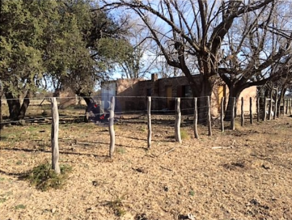 1200 HAS - CAMPO GANADERO - LOVENTUE - LA PAMPA