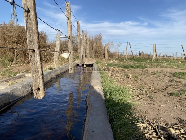 Venta - Campo 100 Has - Dpto. Quemu Quemu - La Pampa