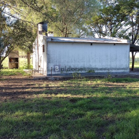 EN VENTA - CAMPO 197 HAS - DPTO CONHELLO - LA PAMPA