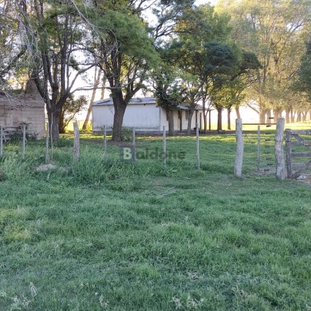 EN VENTA - CAMPO 197 HAS - DPTO CONHELLO - LA PAMPA