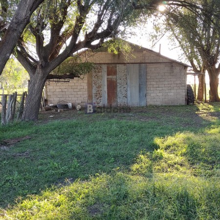 EN VENTA - CAMPO 197 HAS - DPTO CONHELLO - LA PAMPA