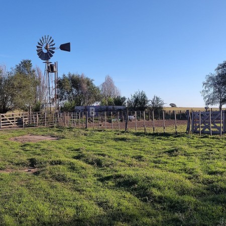 EN VENTA - CAMPO 197 HAS - DPTO CONHELLO - LA PAMPA