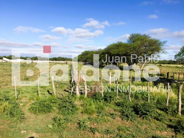 353 Has Dpto Trenel - Arata - La Pampa