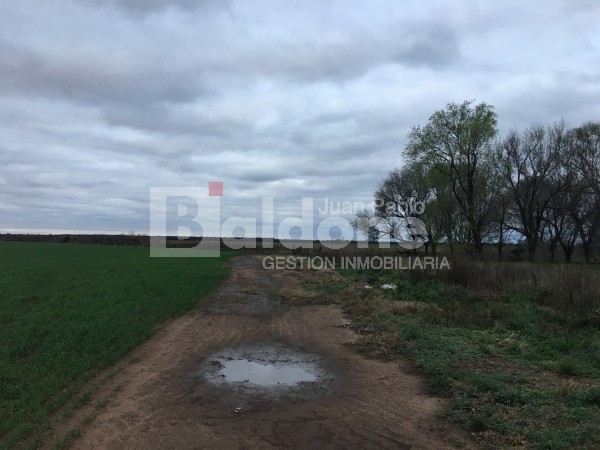VENTA CAMPO 330 HAS - ARATA - DPTO TRENEL - LA PAMPA