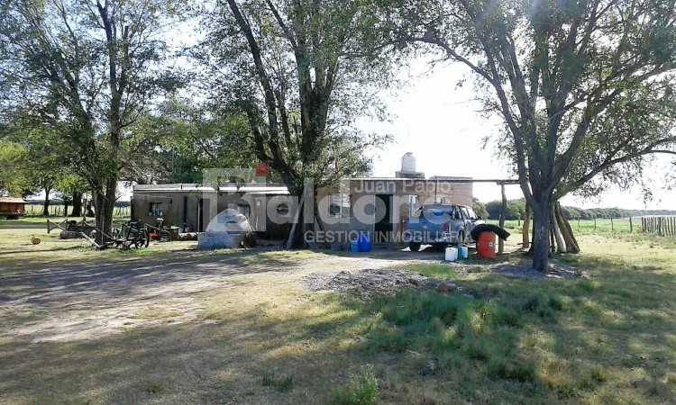 353 Has Dpto Trenel - Arata - La Pampa