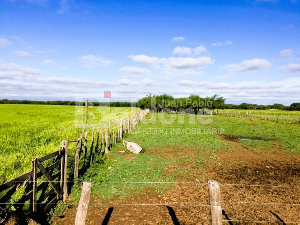 353 Has Dpto Trenel - Arata - La Pampa