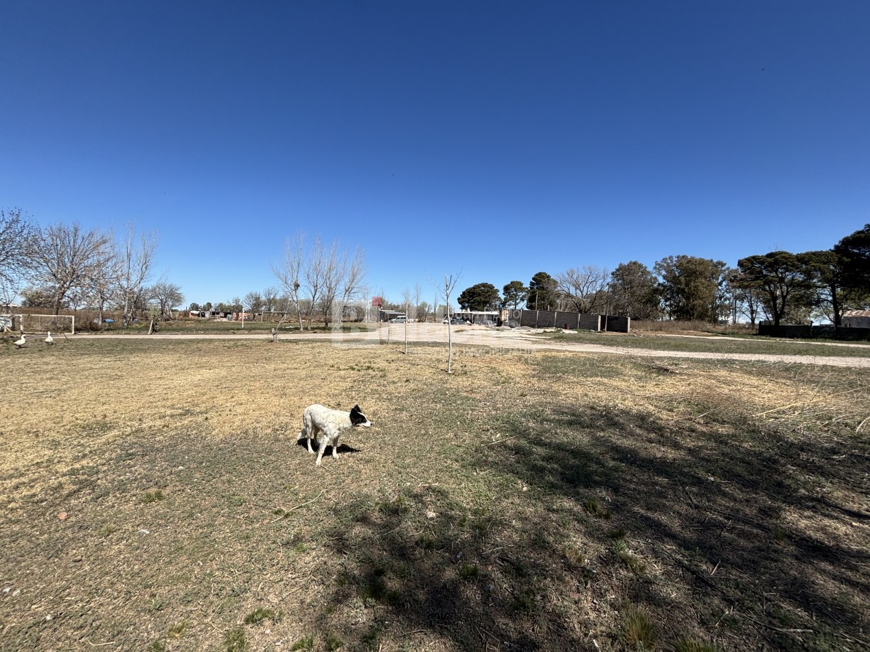 EN VENTA - 1,1 HECTAREA ZONA INDUSTRIAL. - GRAL. PICO