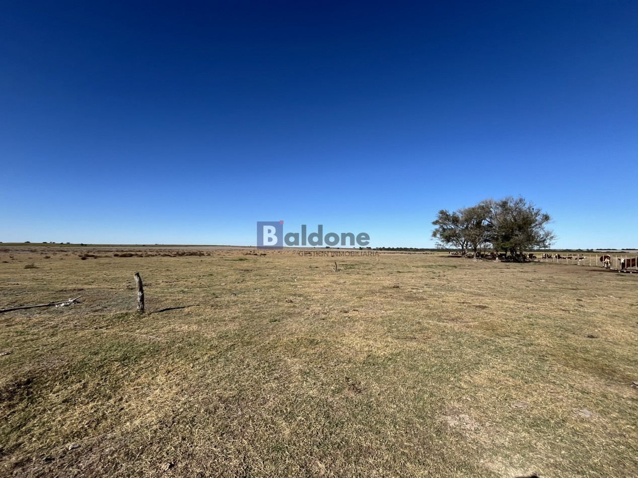 EN VENTA CAMPO 600 HAS - DPTO CAPITAL LA PAMPA