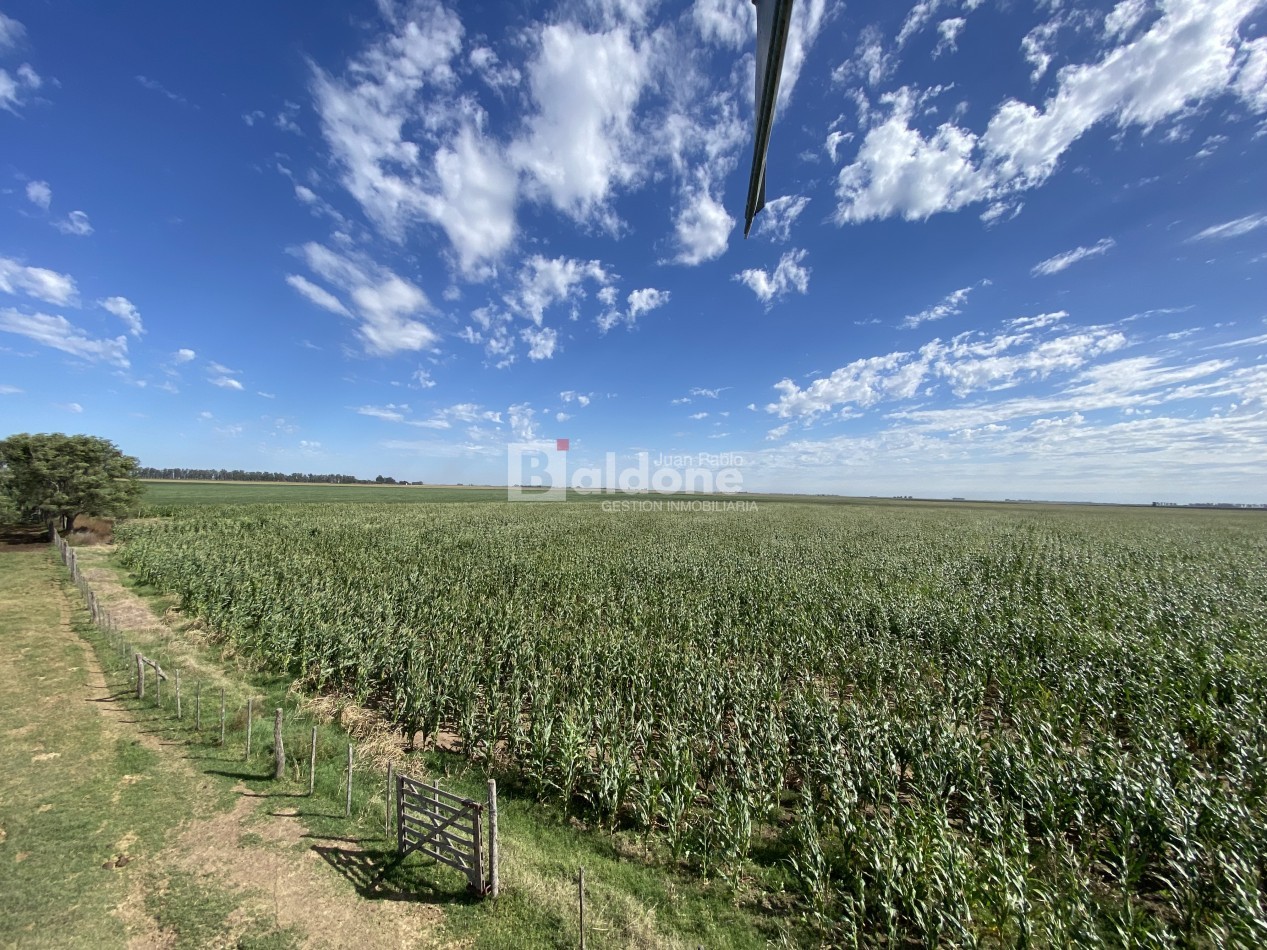 EN VENTA CAMPO 200 HECAREAS - DEPARTAMENTO REALICO - LA PAMPA