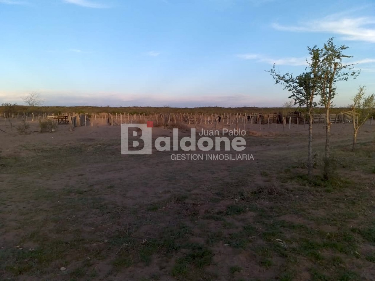 EN VENTA - CAMPO 4975 Has.- LIMAY MAHUIDA - LA PAMPA