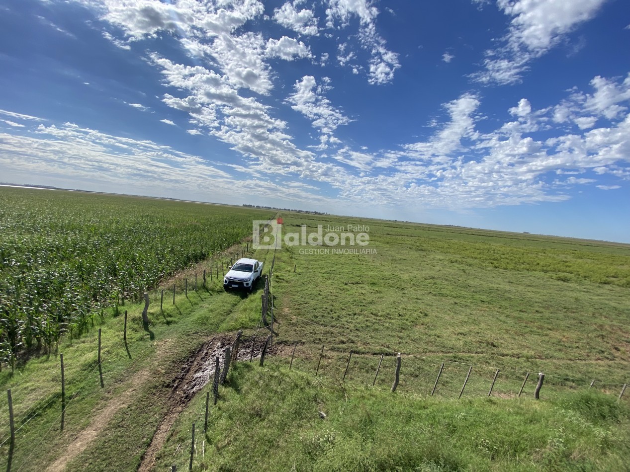 EN VENTA CAMPO 200 HECAREAS - DEPARTAMENTO REALICO - LA PAMPA