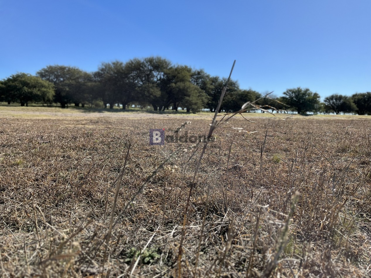 EN VENTA CAMPO 600 HAS - DPTO CAPITAL LA PAMPA