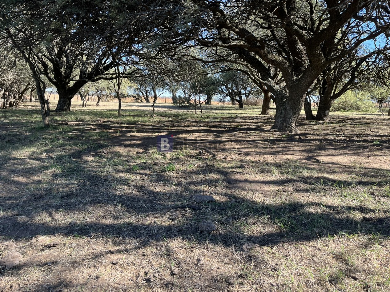 EN VENTA CAMPO 600 HAS - DPTO CAPITAL LA PAMPA