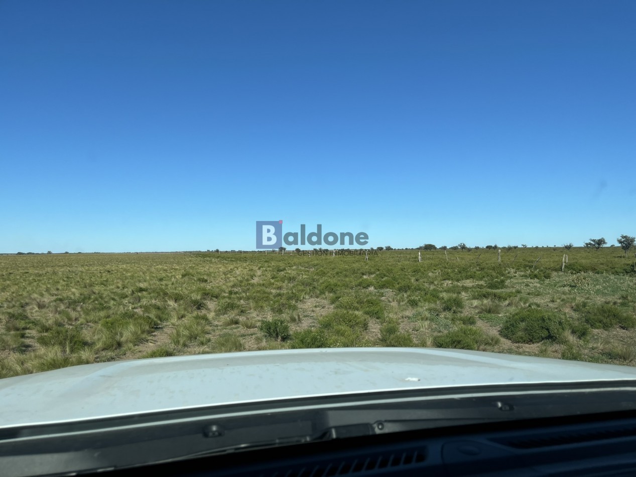 EN VENTA CAMPO 600 HAS - DPTO CAPITAL LA PAMPA