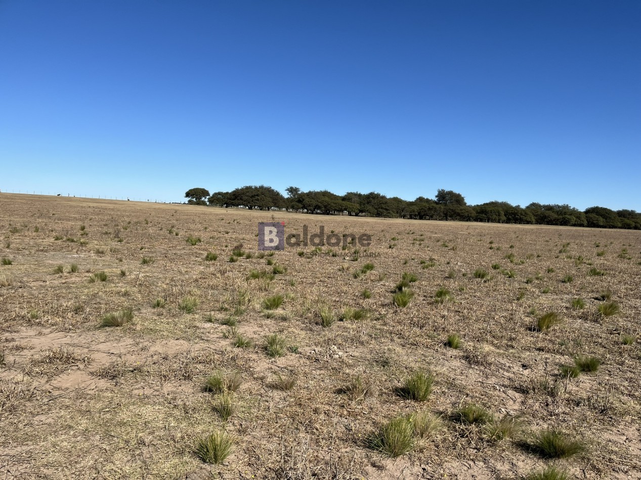 EN VENTA CAMPO 600 HAS - DPTO CAPITAL LA PAMPA