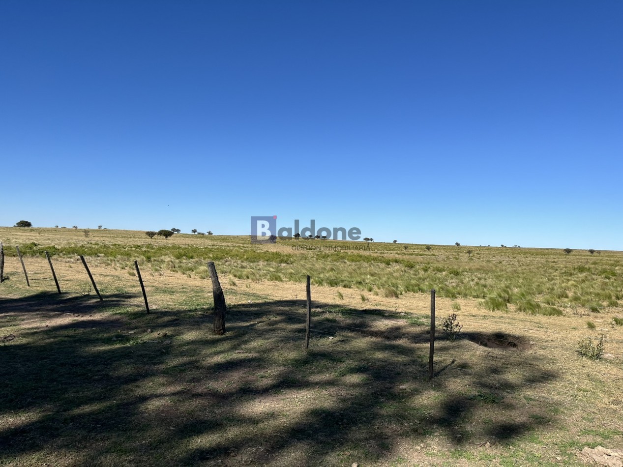 EN VENTA CAMPO 600 HAS - DPTO CAPITAL LA PAMPA